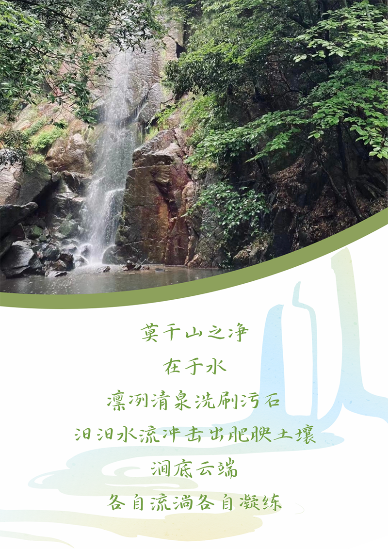 心心念廿 相伴DB真人 | 与德清相约 贺廿载诞辰