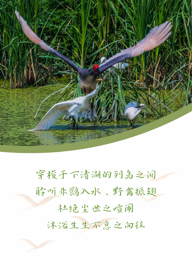 心心念廿 相伴DB真人 | 与德清相约 贺廿载诞辰